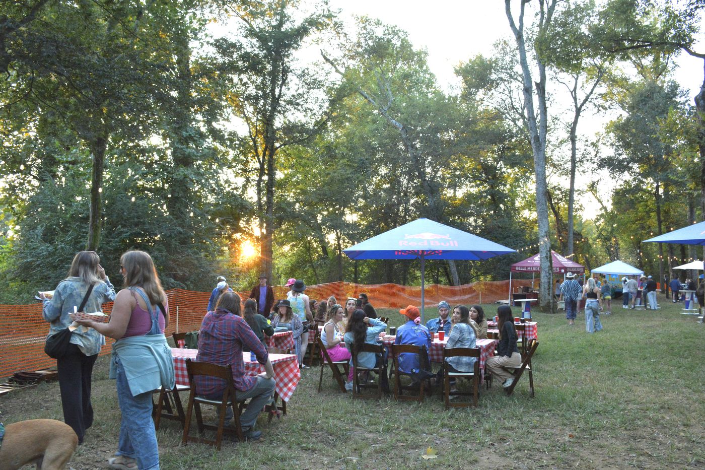 Golden hour picnic under the trees